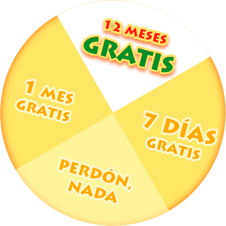 12 Months FREE